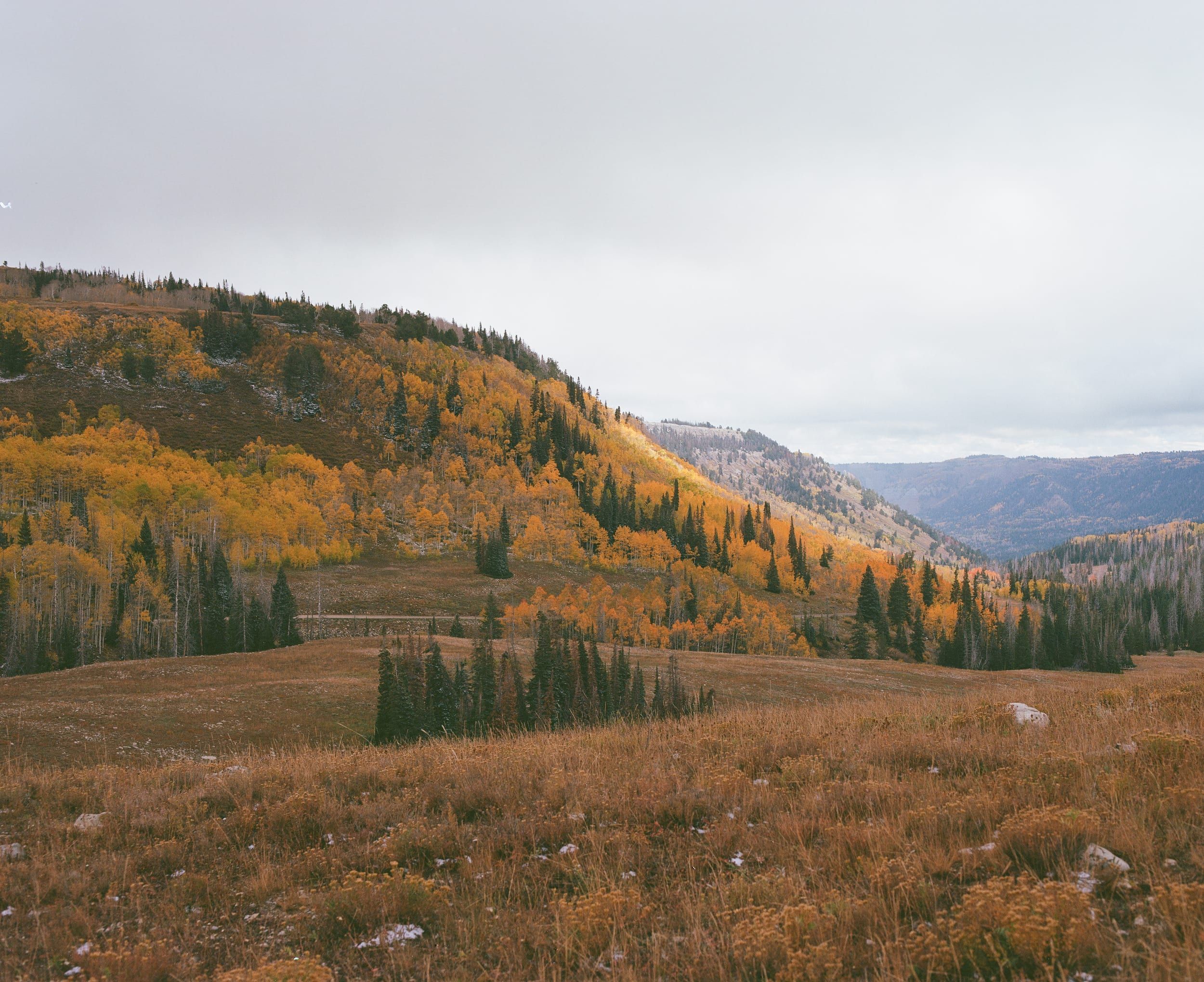 Color analog photograph shot on Mamiya RZ67 Pro II and Kodak Gold 200 with Sekor 90mm in Utah, USA by TheAnalogPhotographer (United States). [Landscape]