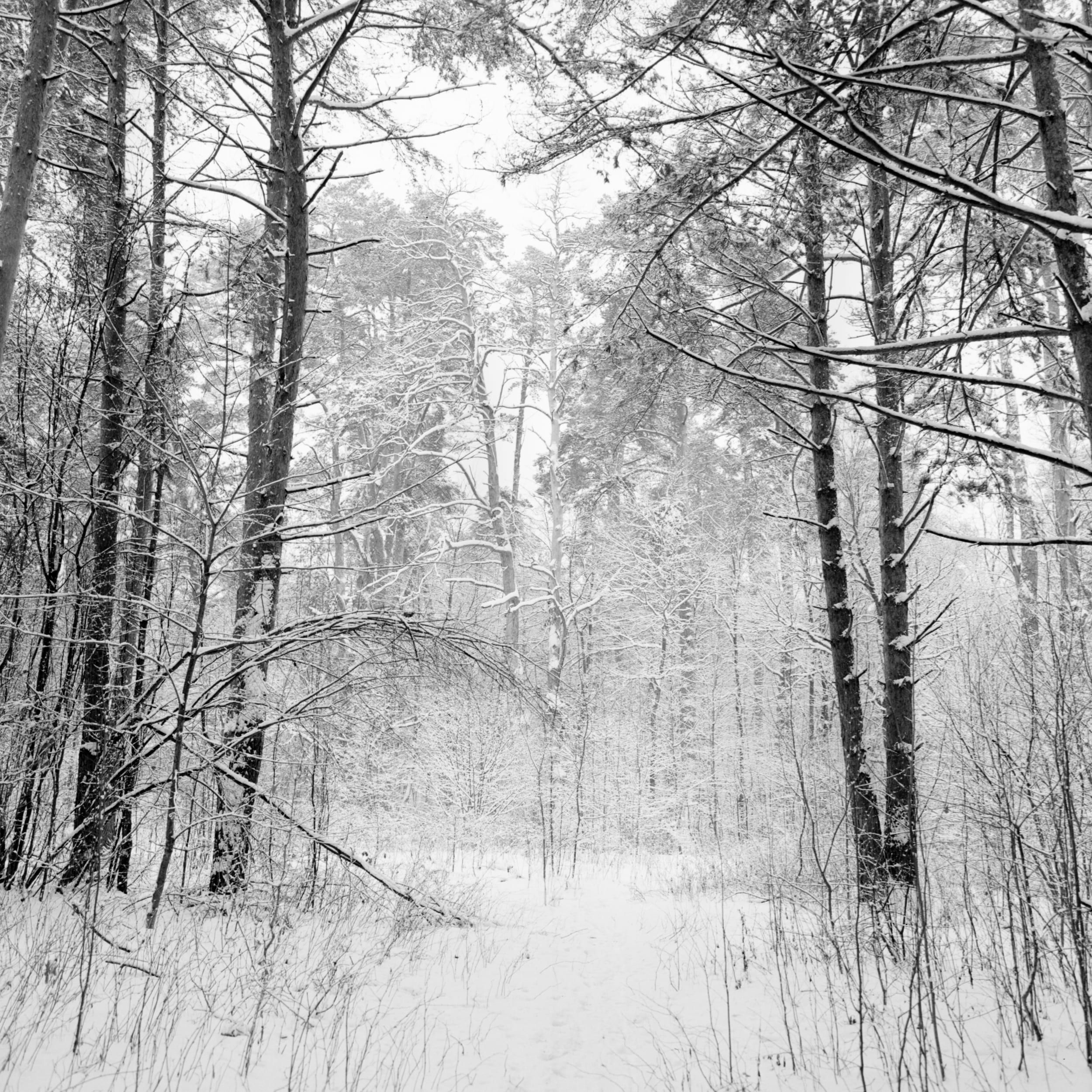 Black and white analog photograph shot on Bronica SQ-Ai and Kodak Professional T-Max 400 with Zenzanon-PS 65/4 by ivan (Russia). [Landscape]