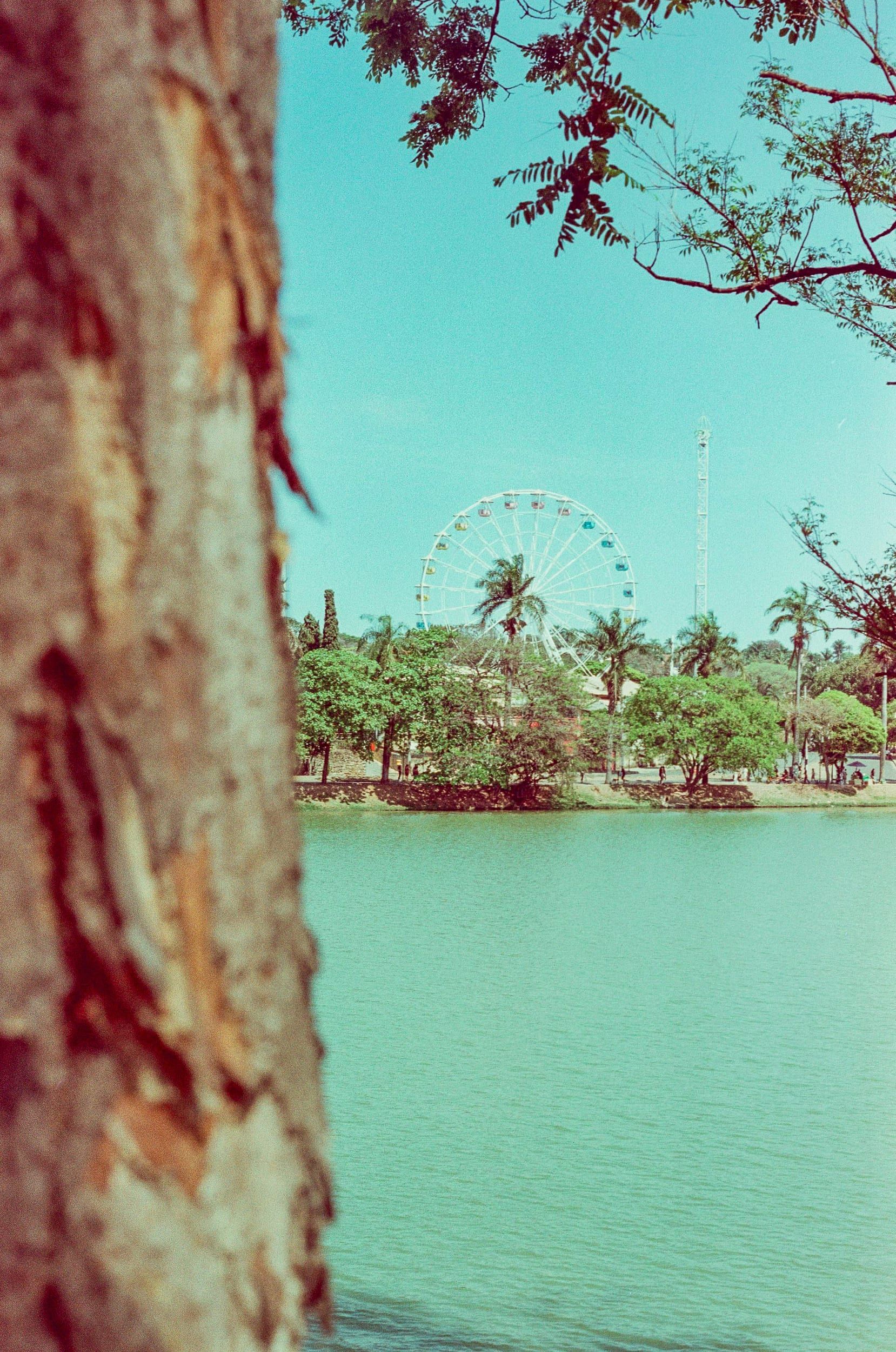 Color analog photograph shot on Canon FTb and Ferrania Solaris with FD 50mm f/1.8 in Belo Horizonte, Brazil by geologyncoffee (Brazil). [Travel]