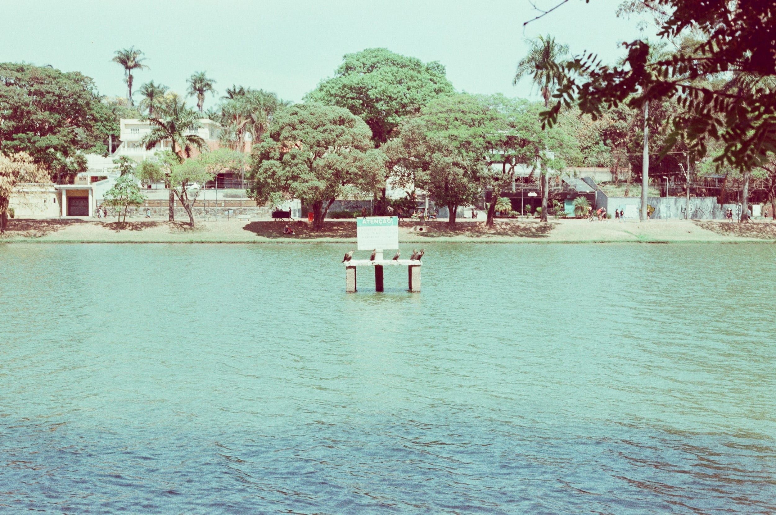 Color analog photograph shot on Canon FTb and Ferrania Solaris with FD 50mm f/1.8 in Belo Horizonte, Brazil by geologyncoffee (Brazil). [Travel]