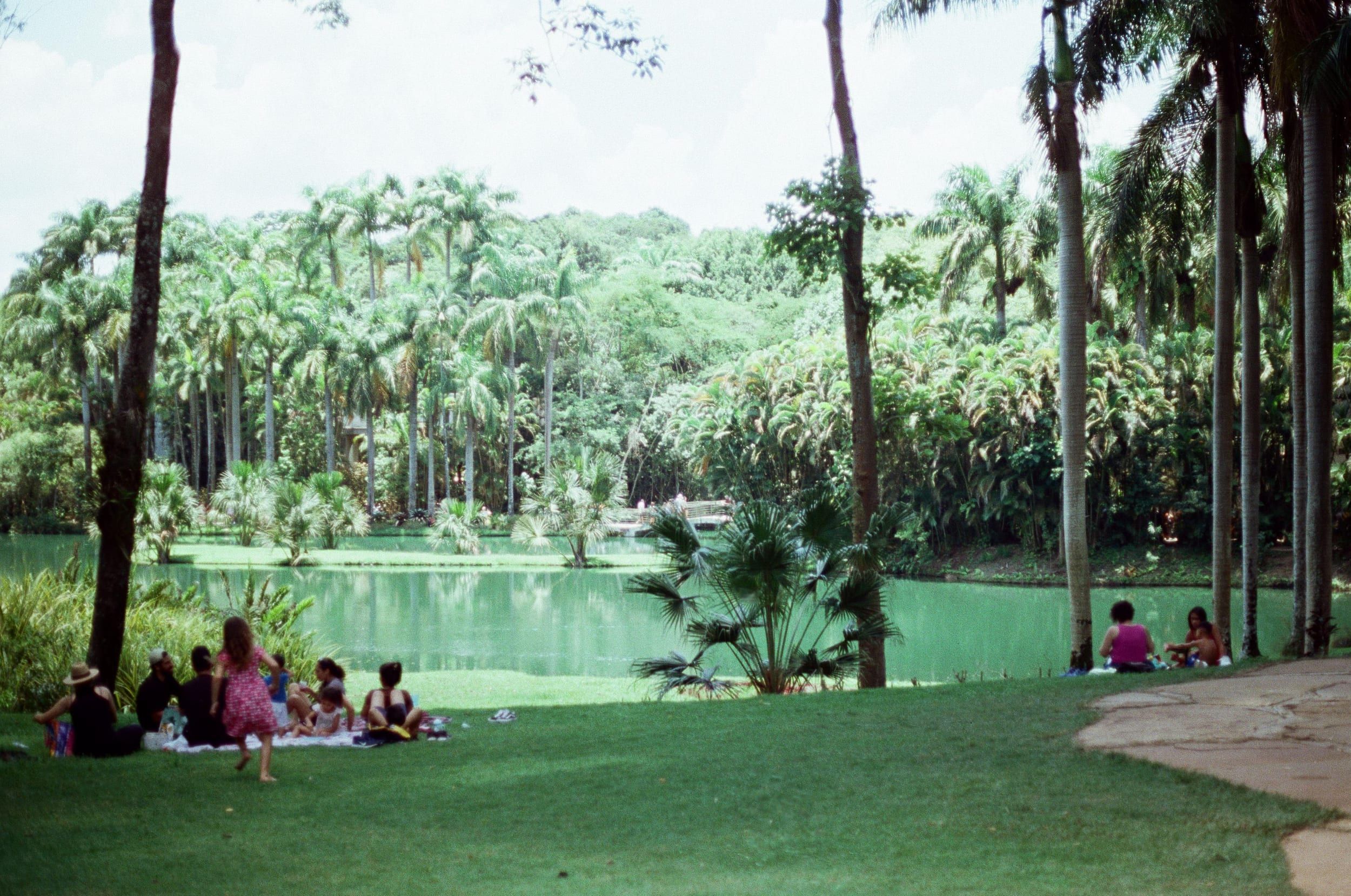 Color analog photograph shot on Canon FTb and Kodak Vision3 250D with FD 50mm f/1.8 by geologyncoffee (Brazil). [Travel]