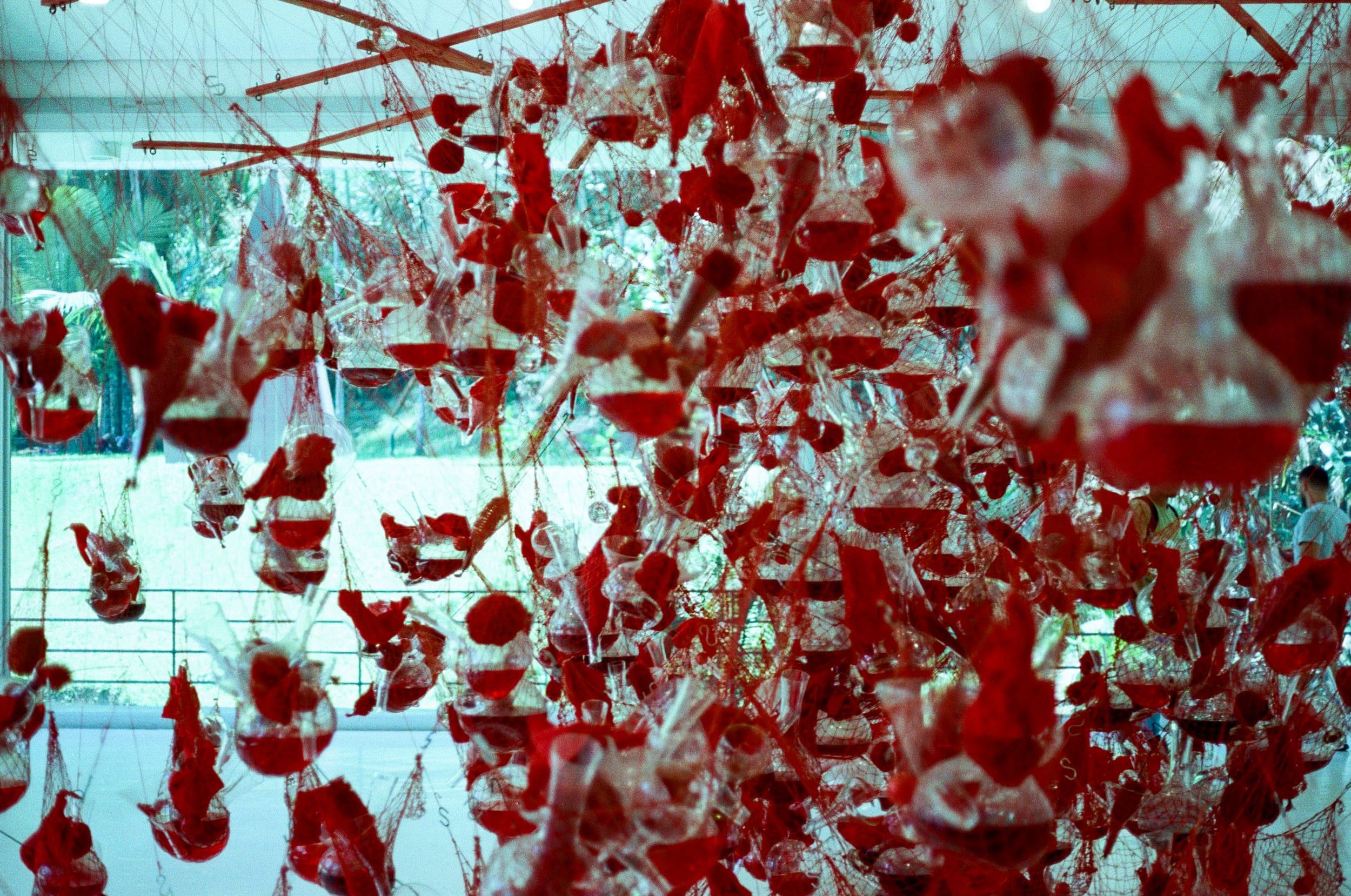 Color analog photograph shot on Canon FTb and Kodak Vision3 250D with FD 50mm f/1.8 by geologyncoffee (Brazil). [Travel]