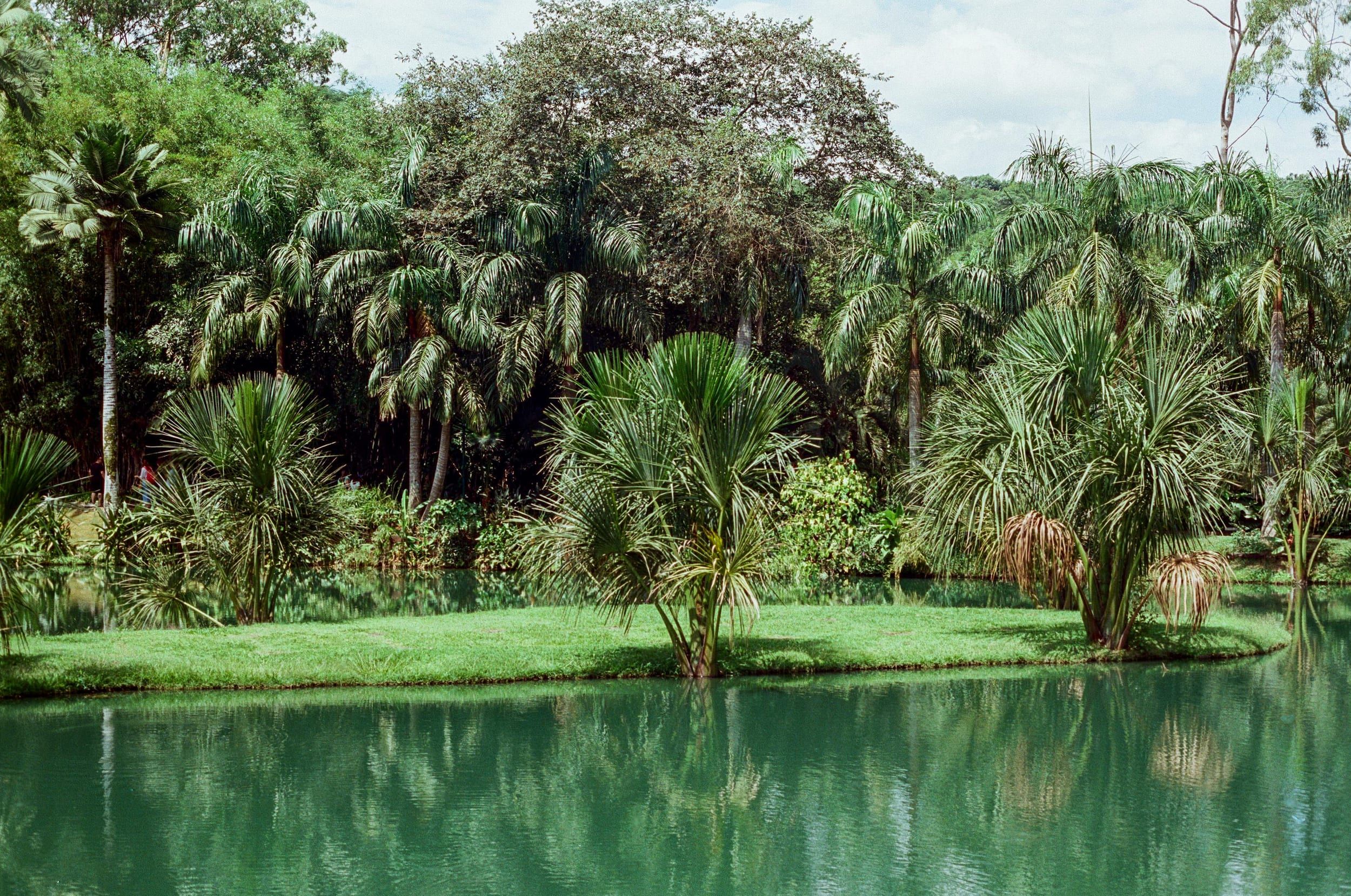 Color analog photograph shot on Canon FTb and Kodak Vision3 250D with FD 50mm f/1.8 by geologyncoffee (Brazil). [Travel]