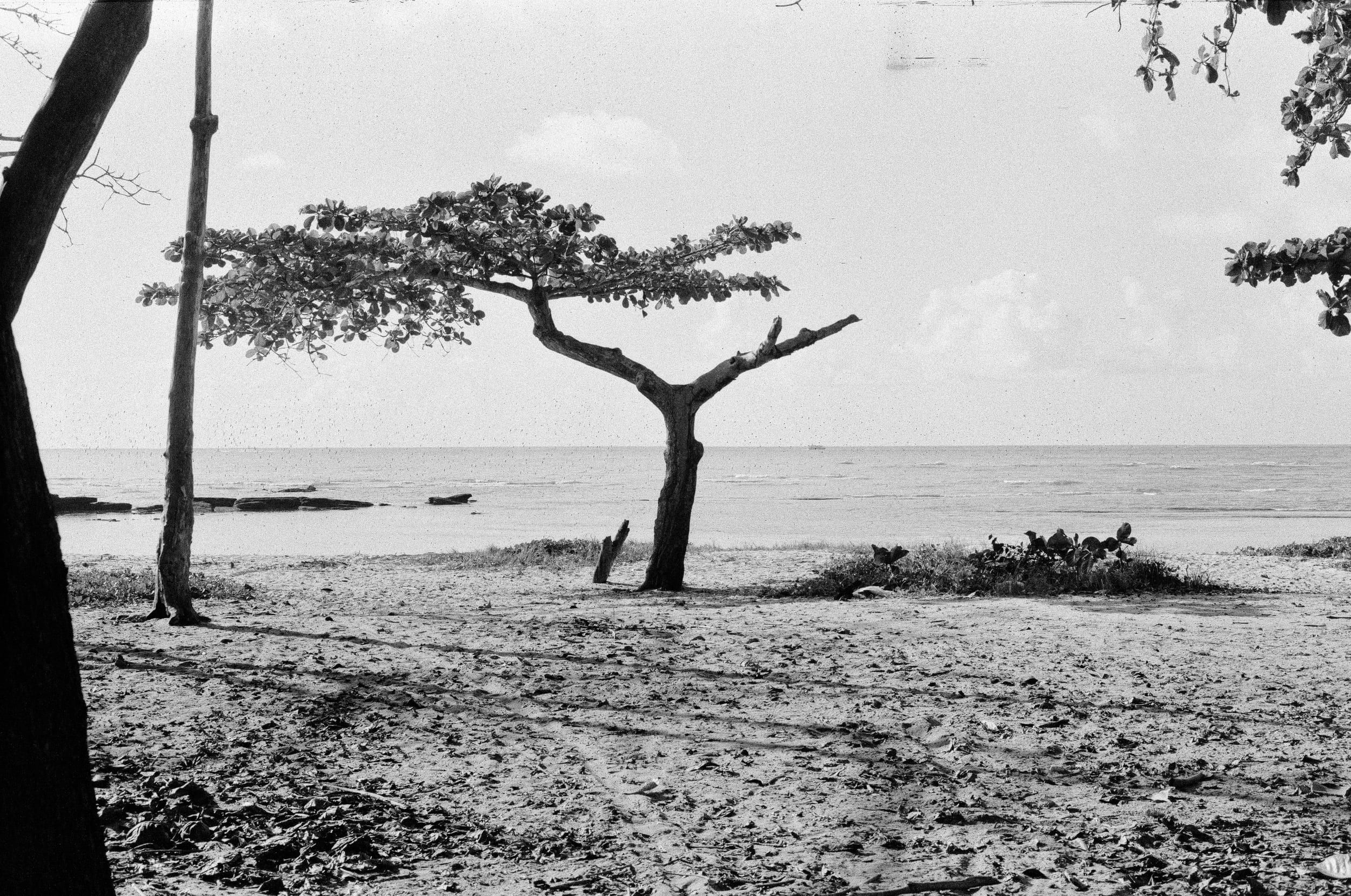 Black and white analog photograph shot on Canon FTb and Shanghai Film Gp3 100 with Canon FD 50mm f/1.8 in Porto Seguro, Brazil by geologyncoffee (Brazil). [Travel]