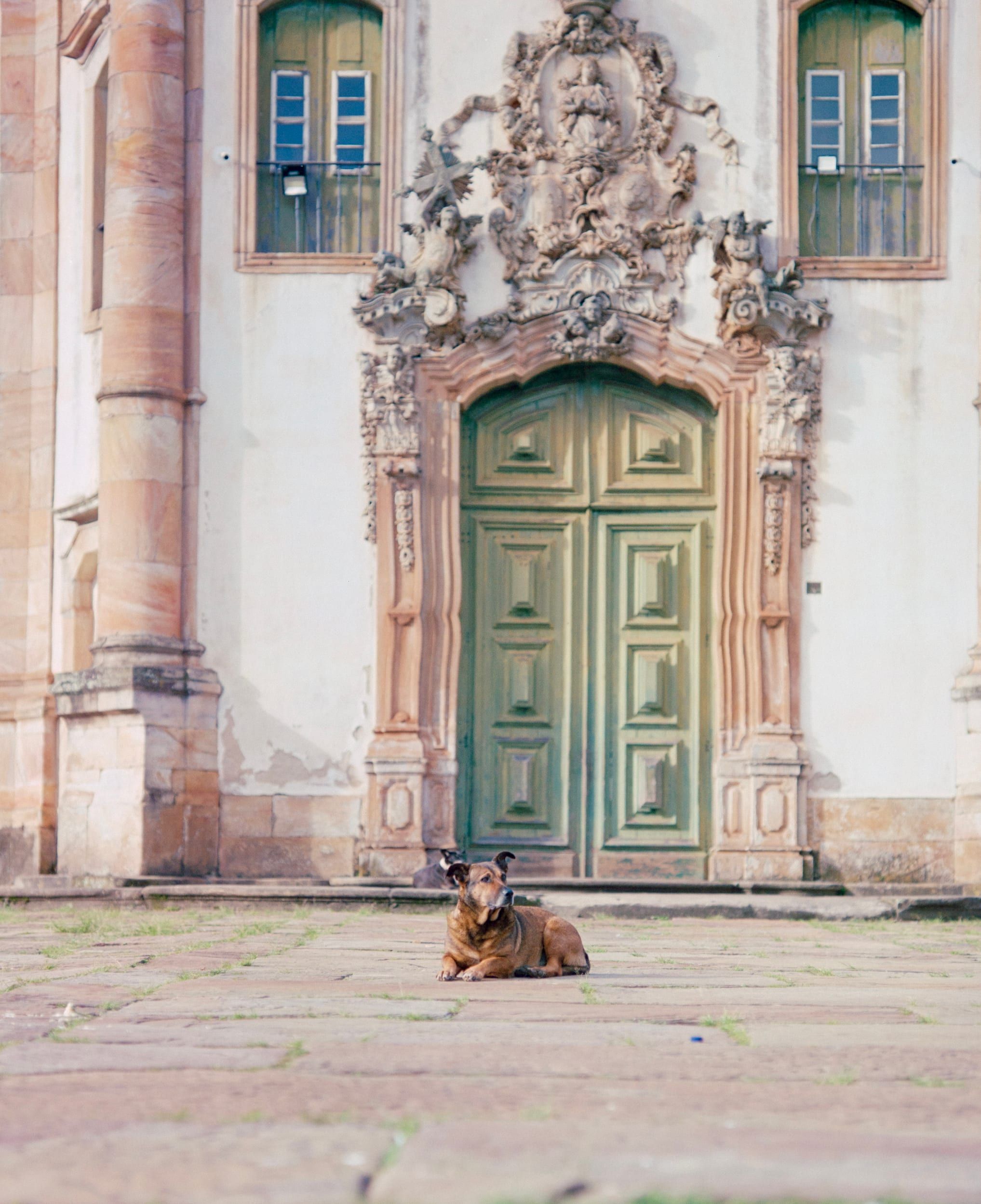 Color analog photograph shot on Pentax 67 and Lucky Color 200 with Pentax 67 135mm f/4 macro in Ouro Preto, Brazil by geologyncoffee (Brazil). [Travel]