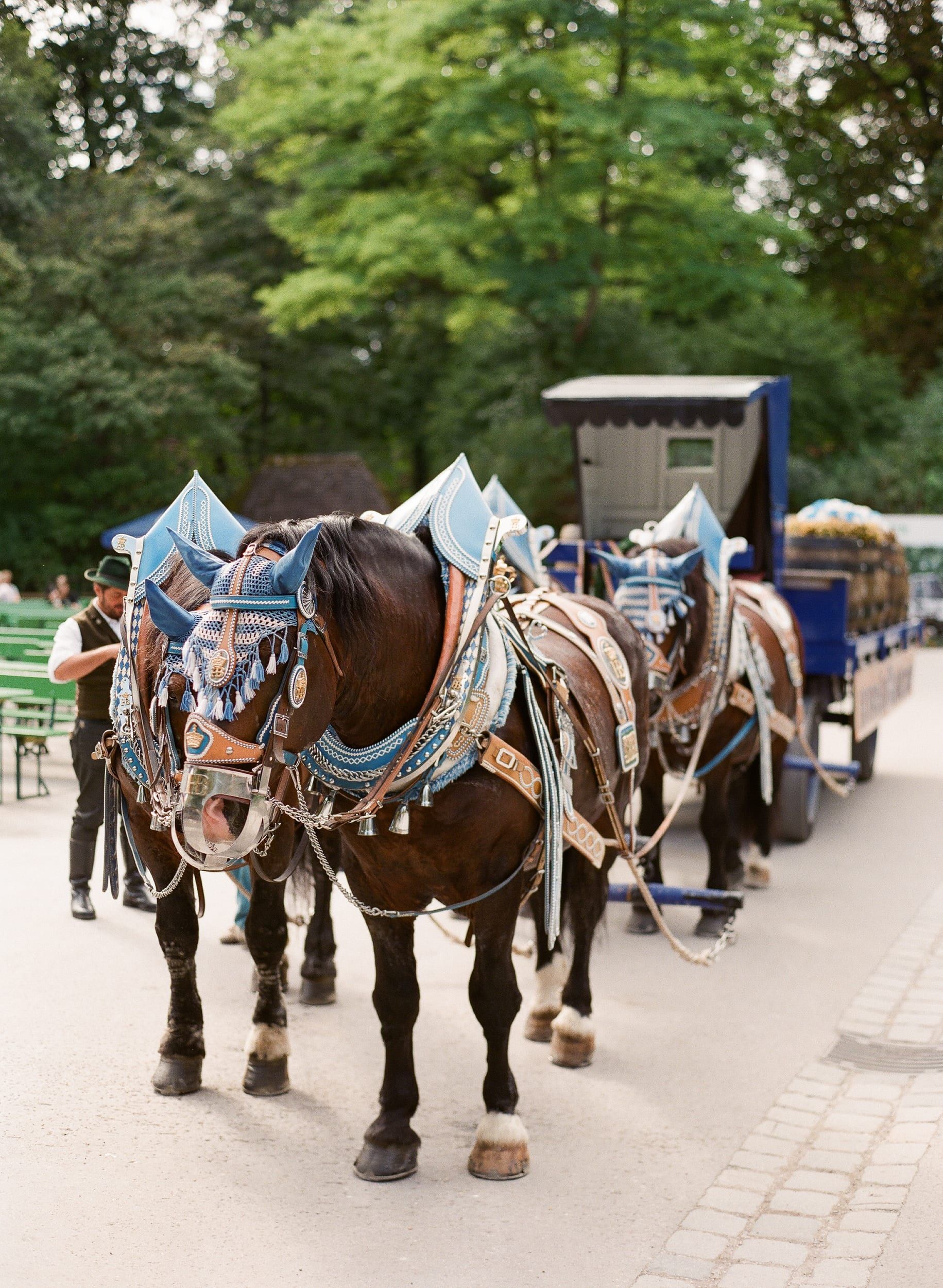Color analog photograph shot on Contax 645 and Fujifilm Fujicolor Pro 400h Professional with 80mm f2 in Munich, Germany by Jack_von_Linden (United States). [Travel]