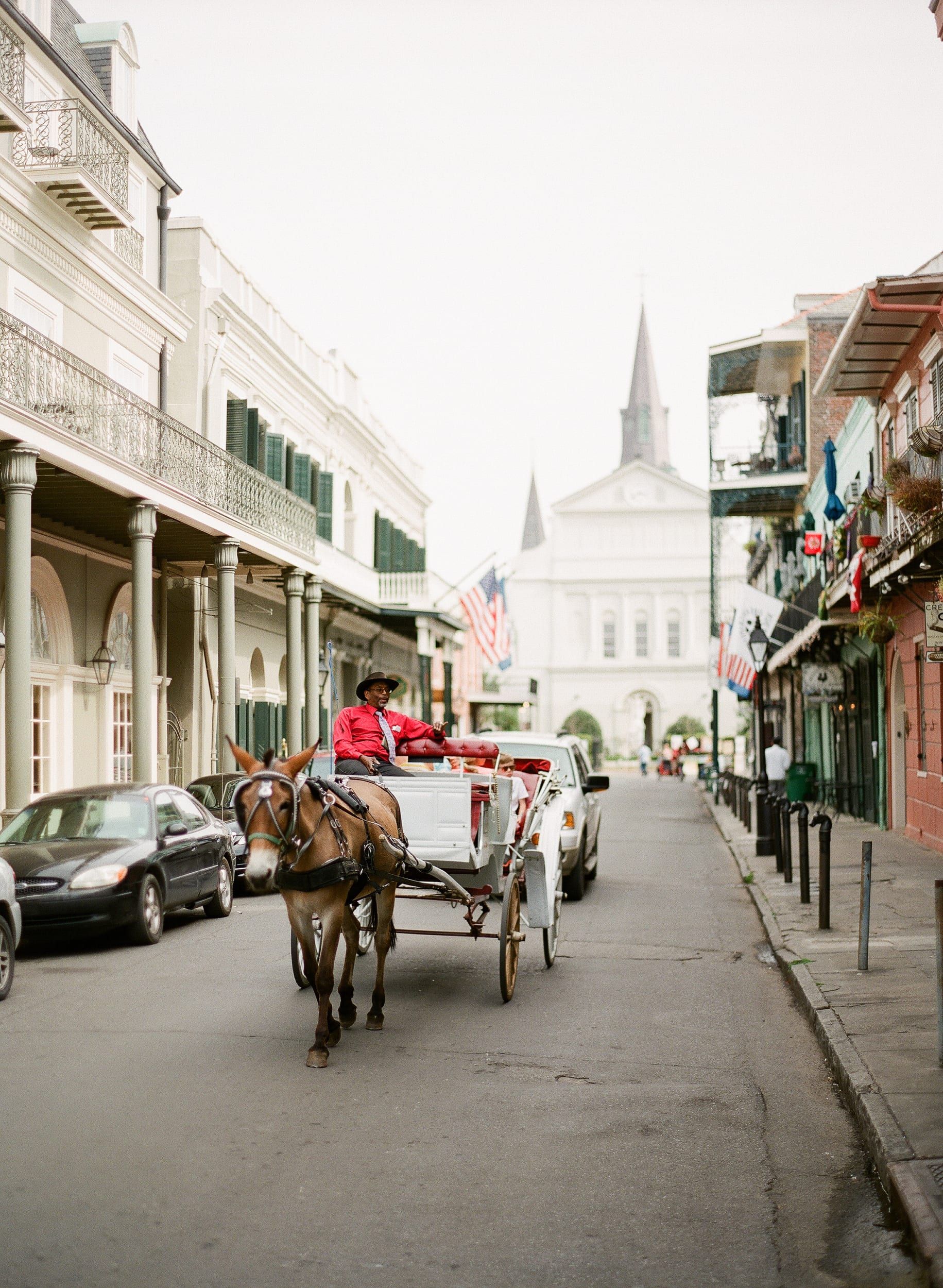 Color analog photograph shot on Contax 645 and Fujifilm Fujicolor Pro 400h Professional with 80mm f2 in New Orleans, Louisiana by Jack_von_Linden (United States). [Travel]