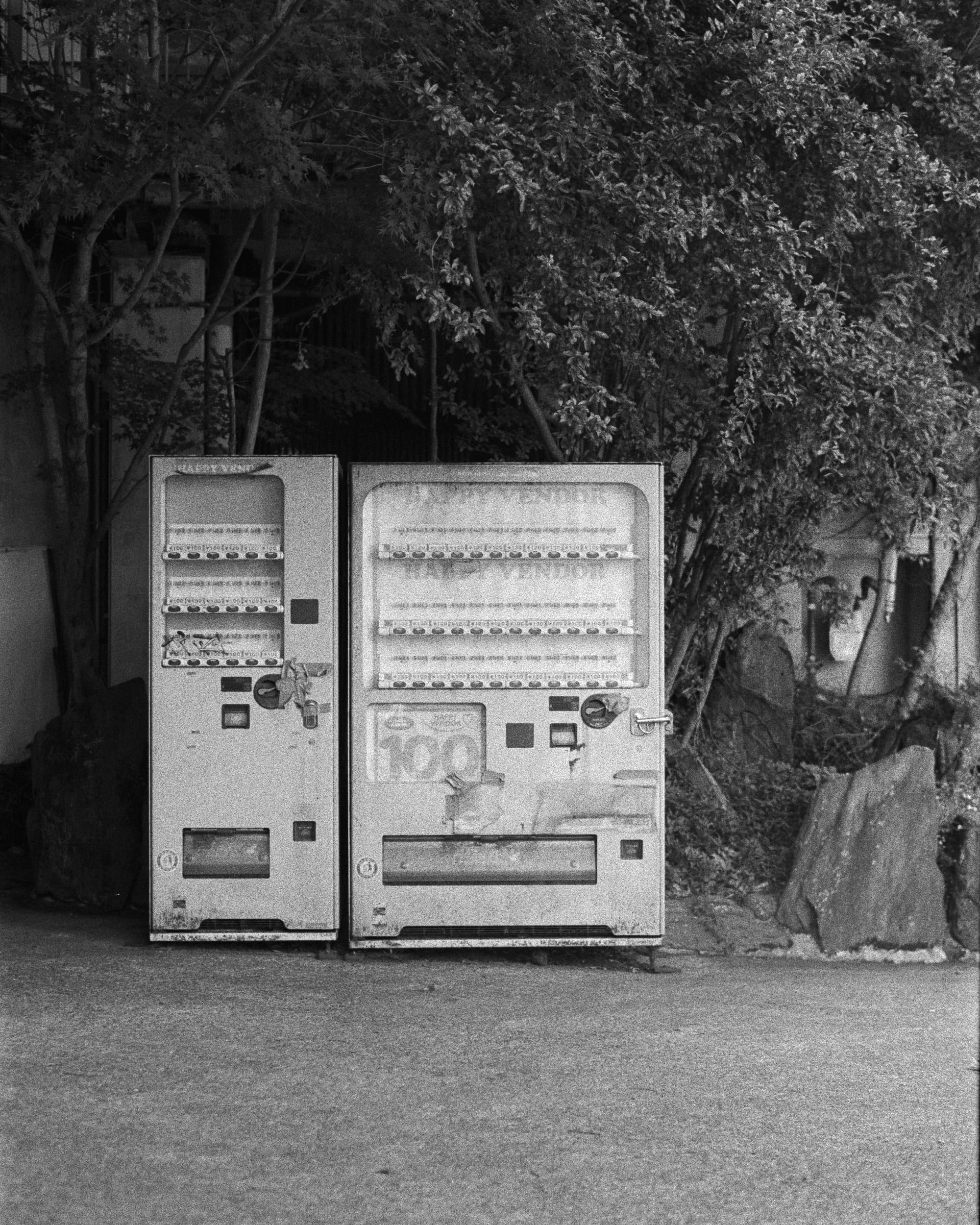 Black and white analog photograph shot on Contax RX and Ilford Hp5 Plus with Carl Zeiss Planar T* 50mm f1.4 in Hakone, Japan by Jack_von_Linden (United States). [Environmental]