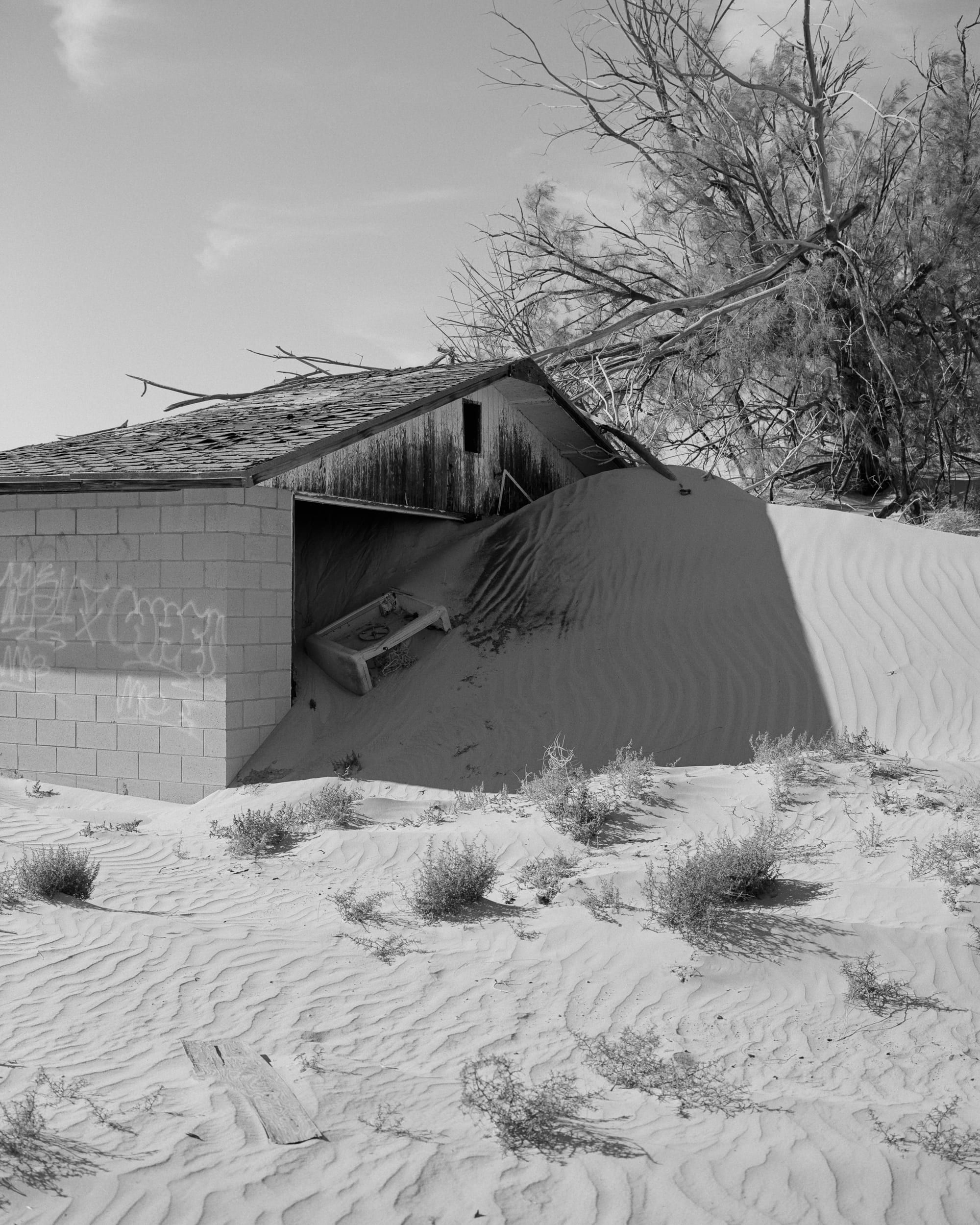 Black and white analog photograph shot on Mamiya 7ii and Kodak Professional T-Max 400 with 80mm f4 in Newberry Springs, California by Jack_von_Linden (United States). [Landscape]