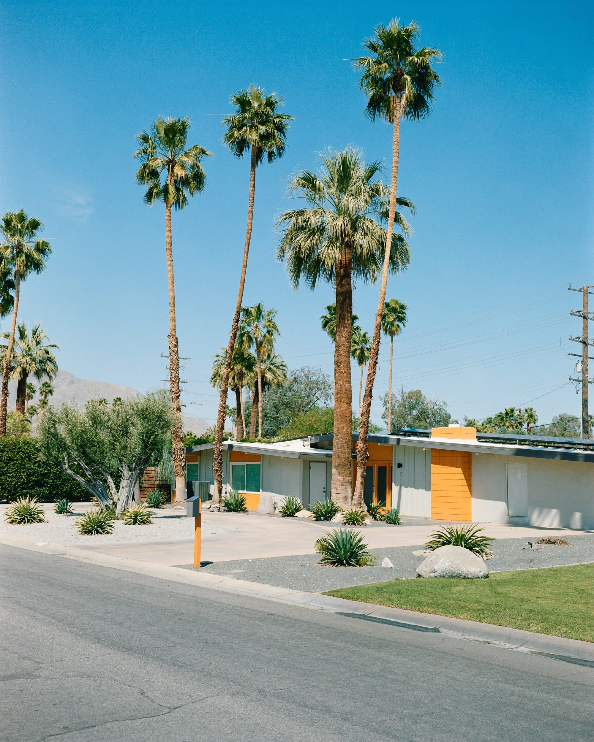 Color analog photograph shot on Mamiya 7ii and Kodak Gold 200 with 80mm f4 in Palm Springs, California by Jack_von_Linden (United States). [Landscape]